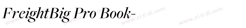 FreightBig Pro Book字体转换